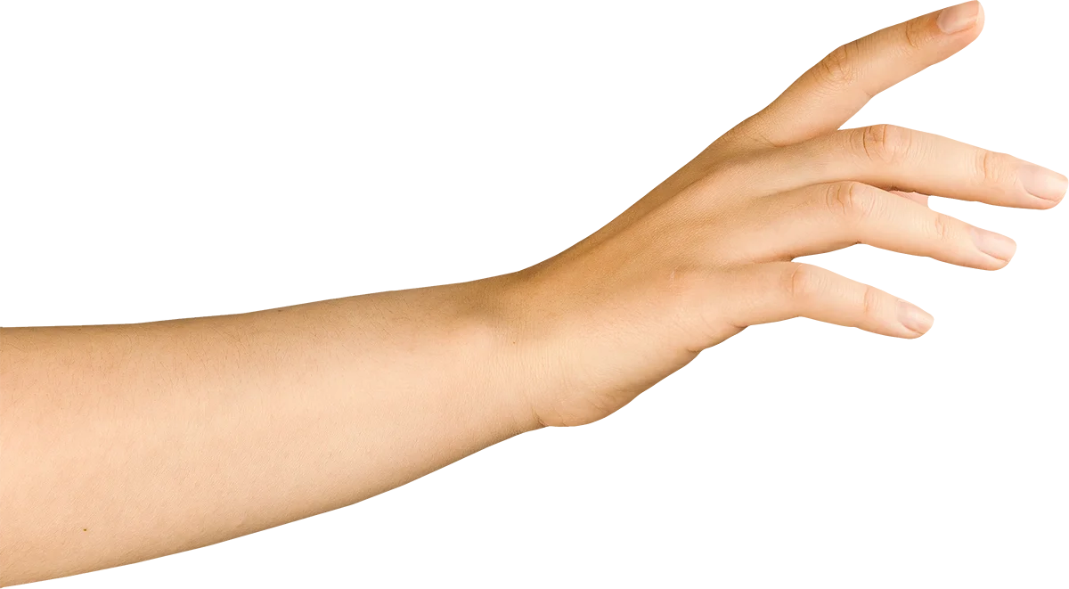 Left Hand image
