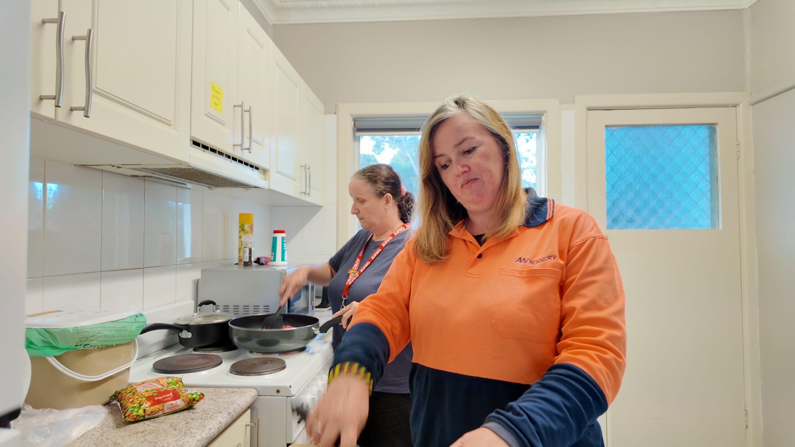 home disability support